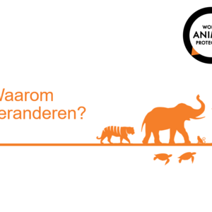 World Animal Protection